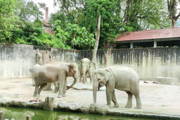 Johor Bahru Zoo travel guidebook –must visit attractions in Johor Bahru