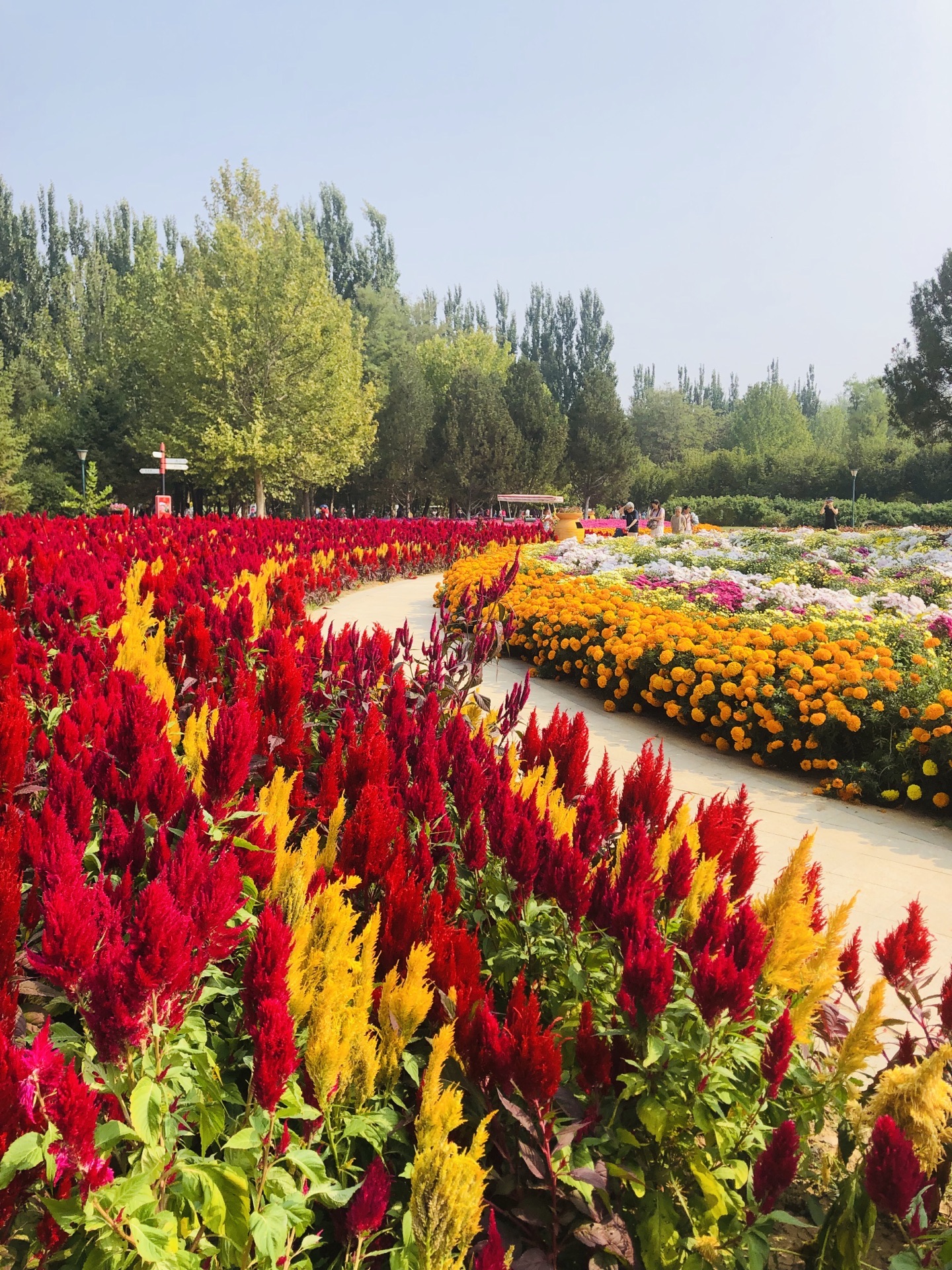 北京国际鲜花港好玩吗(北京国际鲜花港几月去合适)