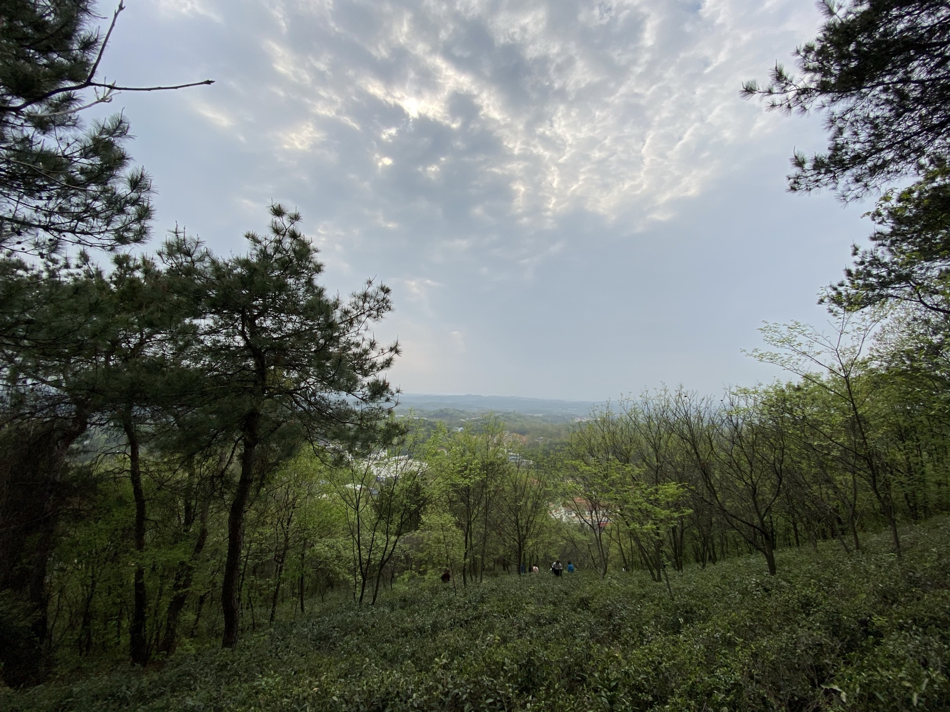 震雷山风景名胜区图片