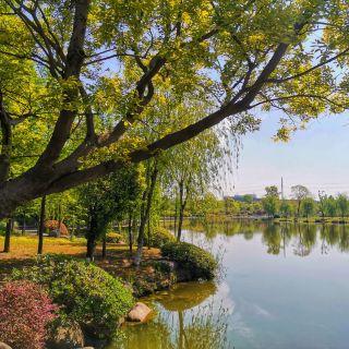 戏鱼墩公园 公园乐园 城市公园 距景点3.4km