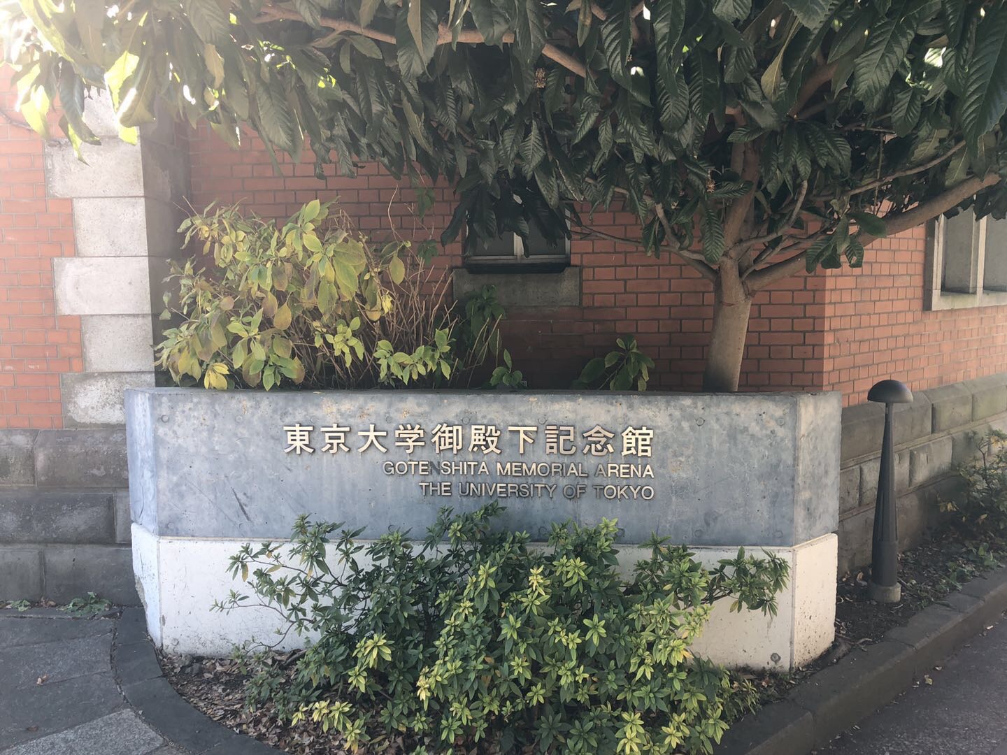 东京大学