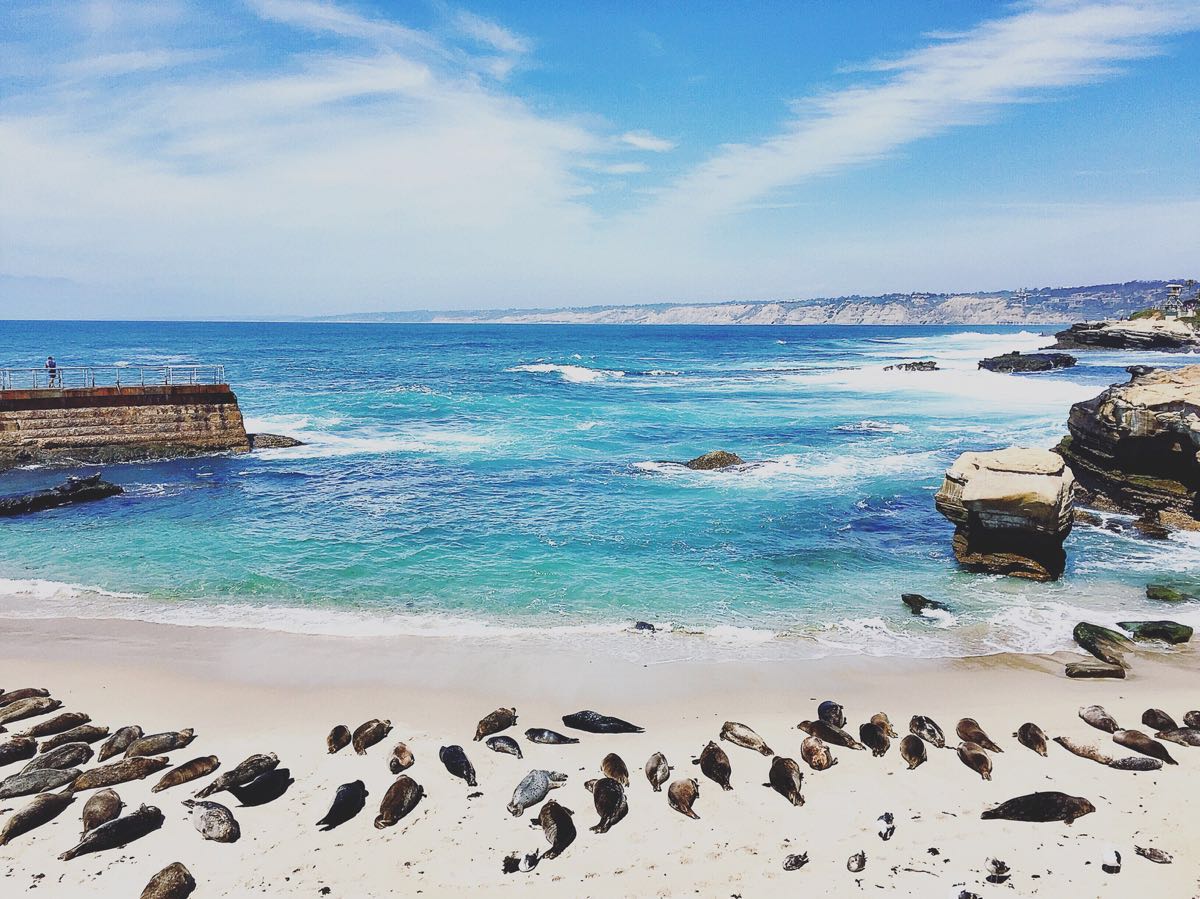 拉霍亚海滩la jolla beach