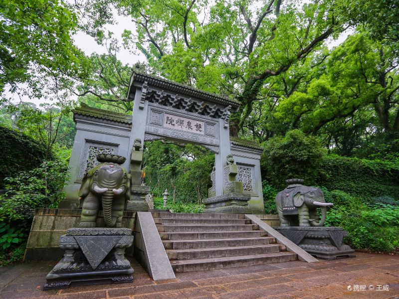 普陀山双泉寺图片