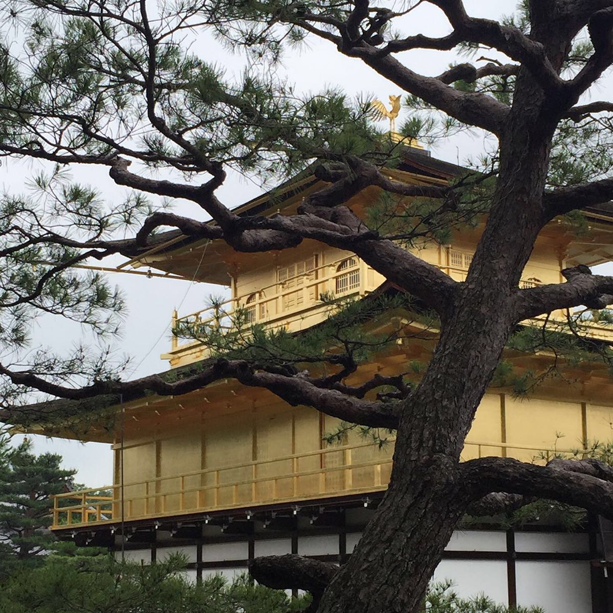 金阁寺