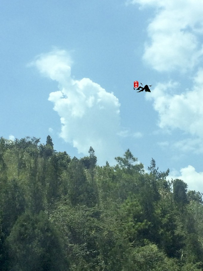 『自驾黔东南』与阳光女神同行、动次打次、懂