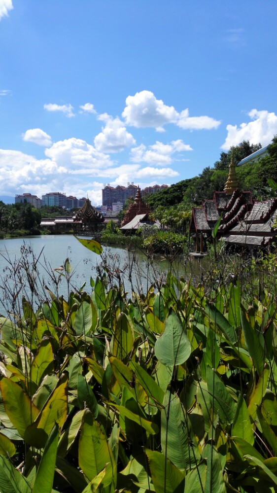 【攜程攻略】雲南曼聽公園景點,對於第一次來西雙版納,我第一站就選擇