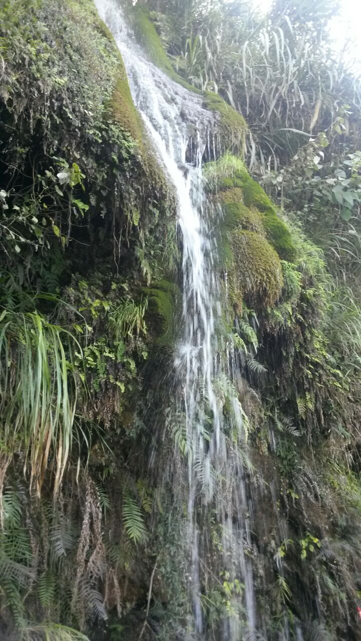 陽新仙島湖觀音洞好玩嗎,陽新仙島湖觀音洞景點怎麼樣_點評_評價