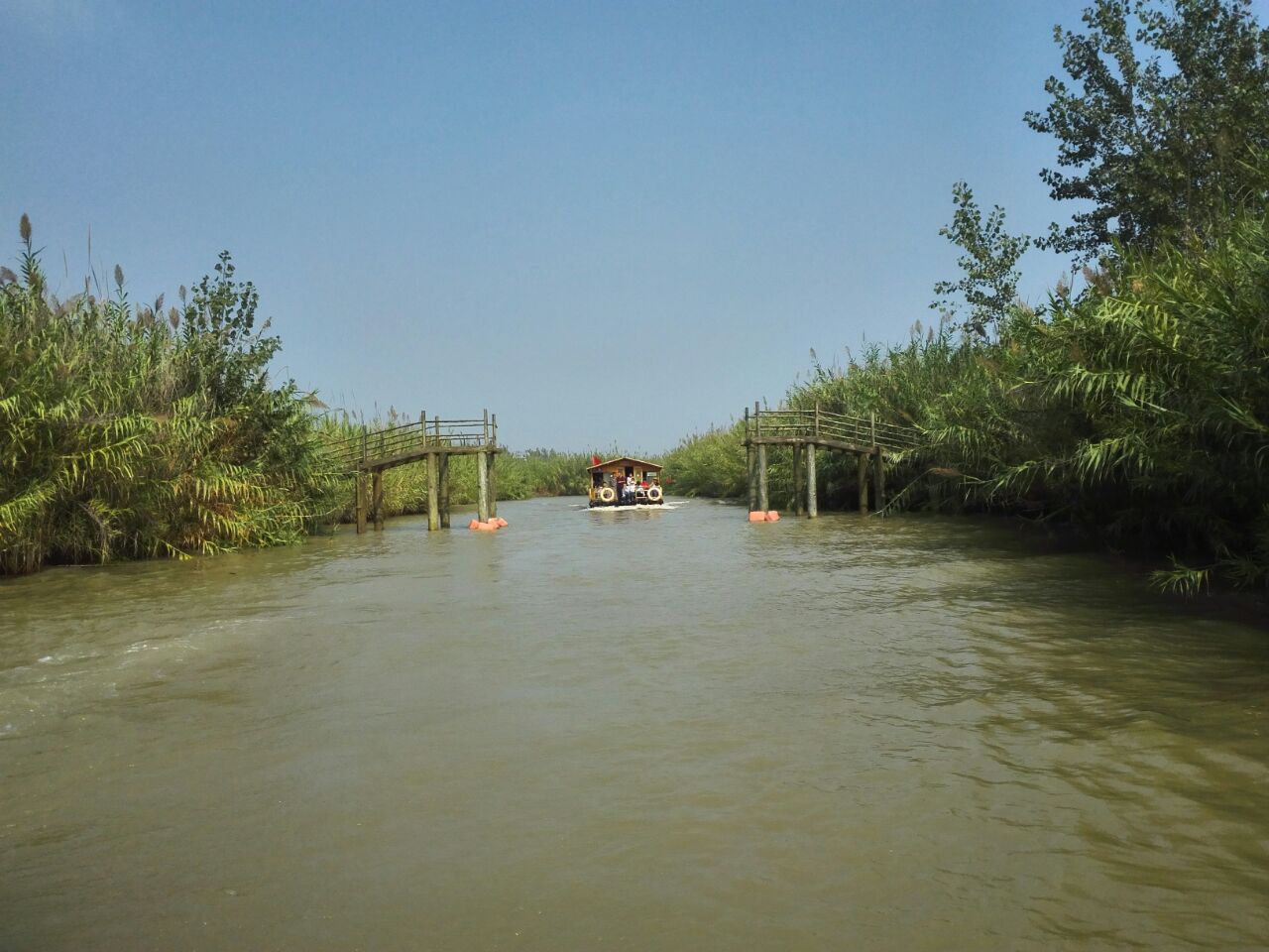 洪泽湖湿地公园游船图片