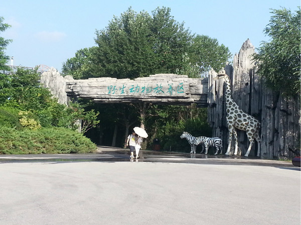 下午3點,同伴轉戰大連森林動物園,我也不想在躺下去,準備出門~(仍然