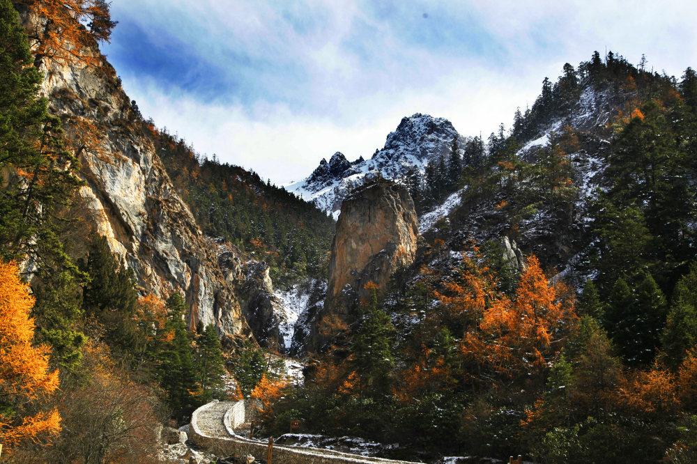 白马王朗国家级自然景区