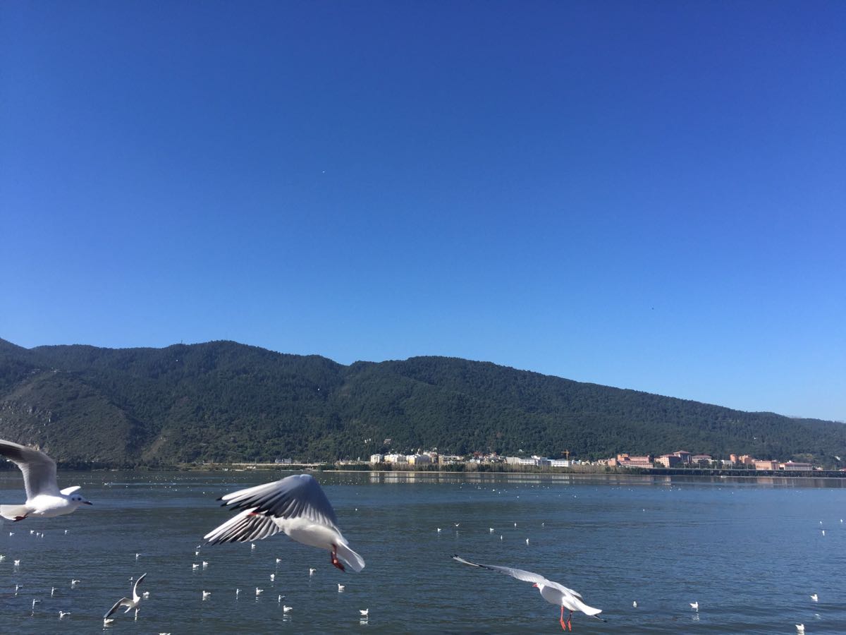 滇池旅遊景點攻略圖