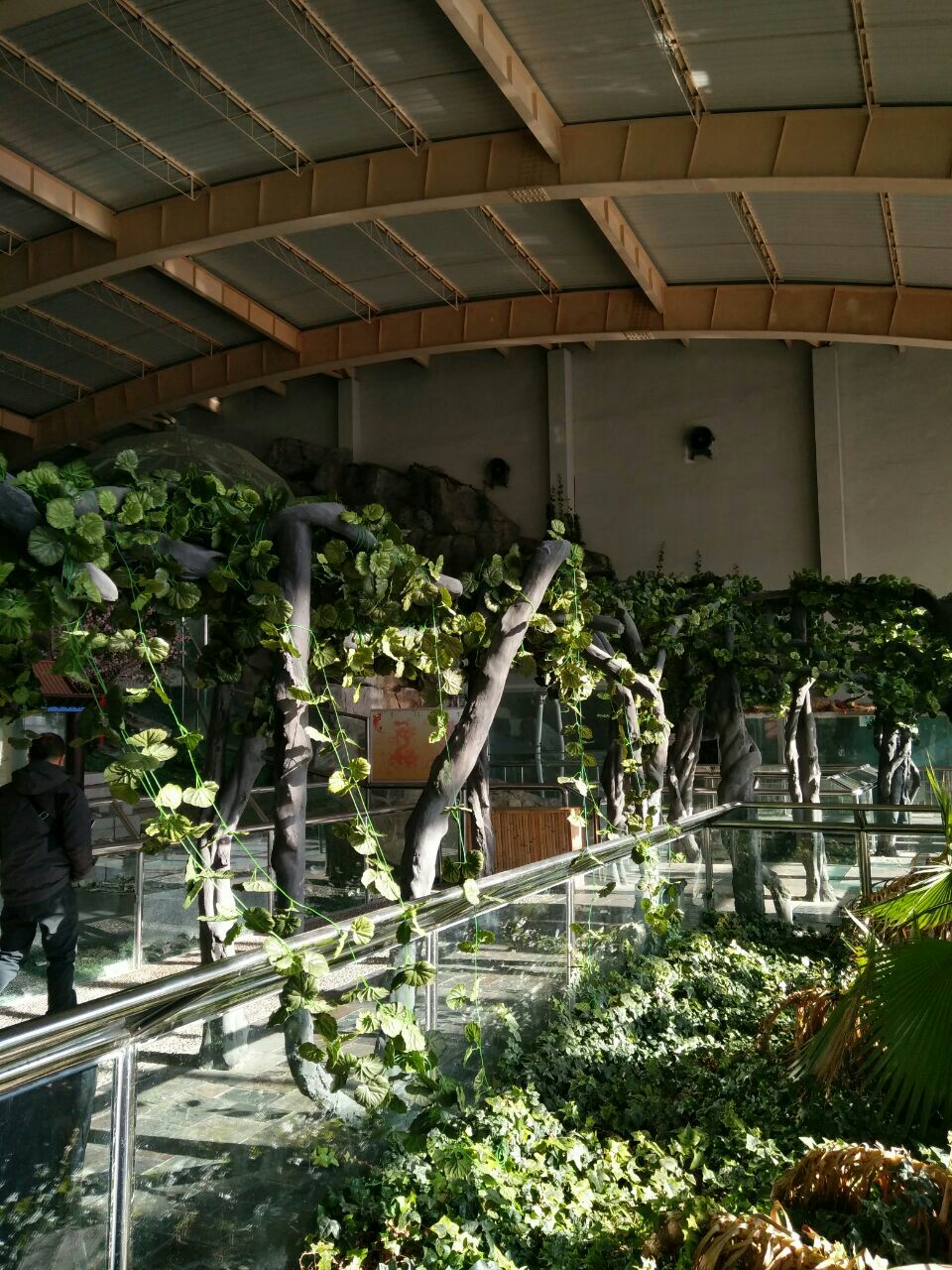 蛇类生态博物馆