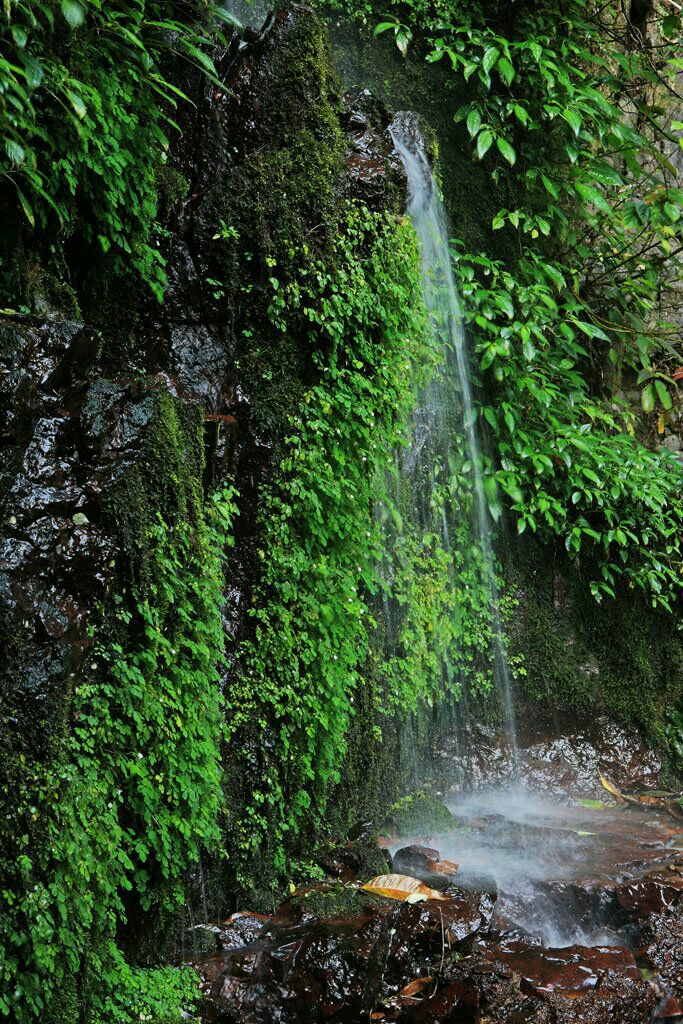 黄连山自然保护区