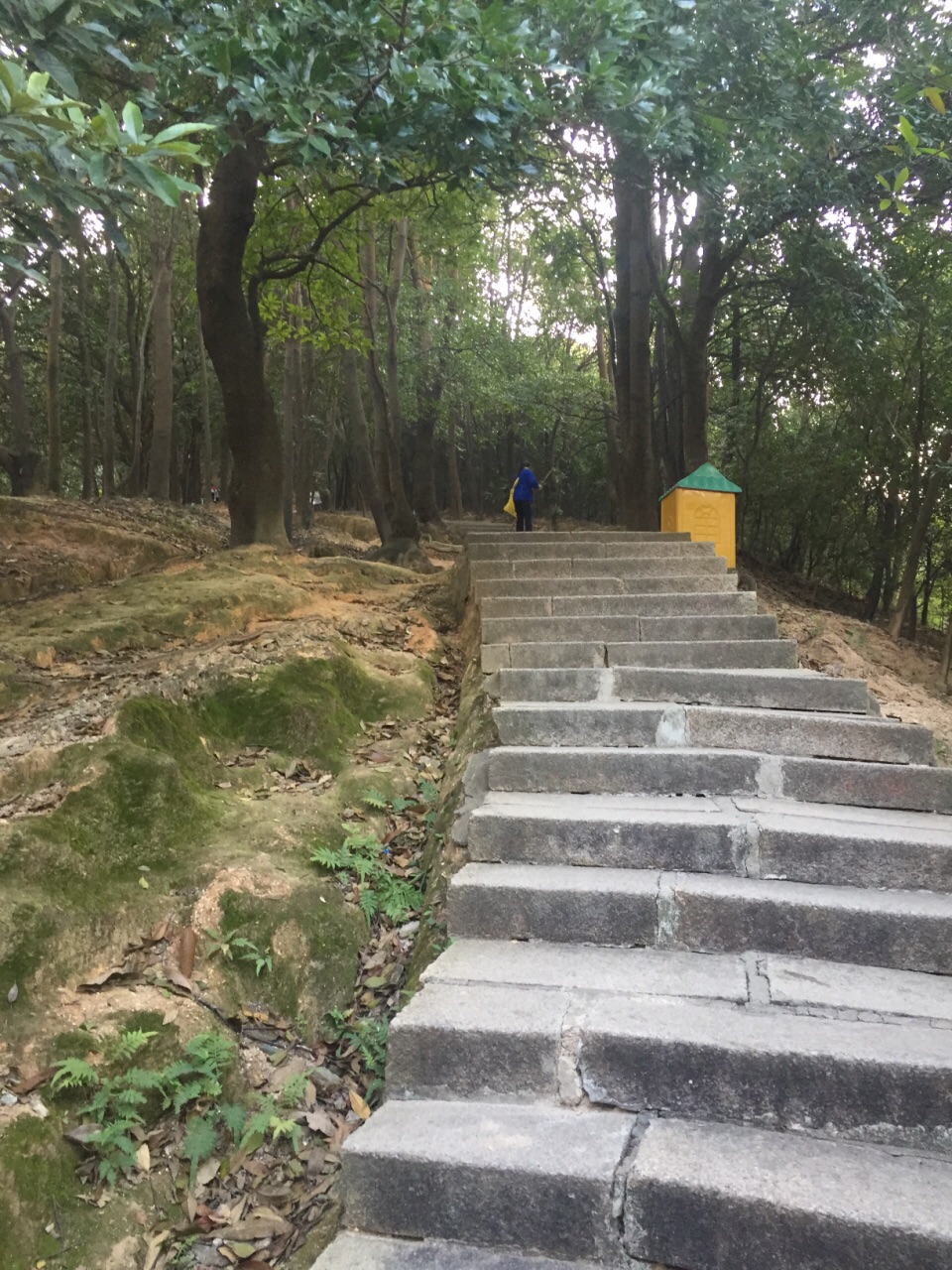 羊台山森林公園