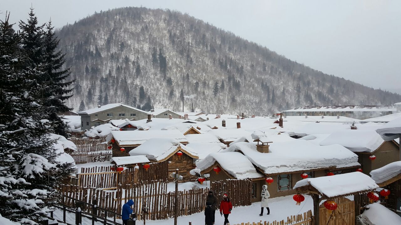 雪鄉國家森林公園