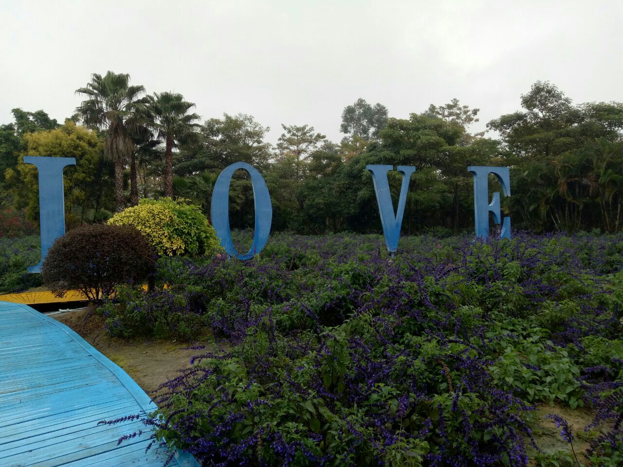 2019花都香草世界_旅游攻略_门票_地址_游记点评,花都旅游景点推荐