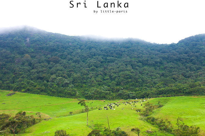 【雨季,不完美的斯里兰卡】(科伦坡、亭可马里