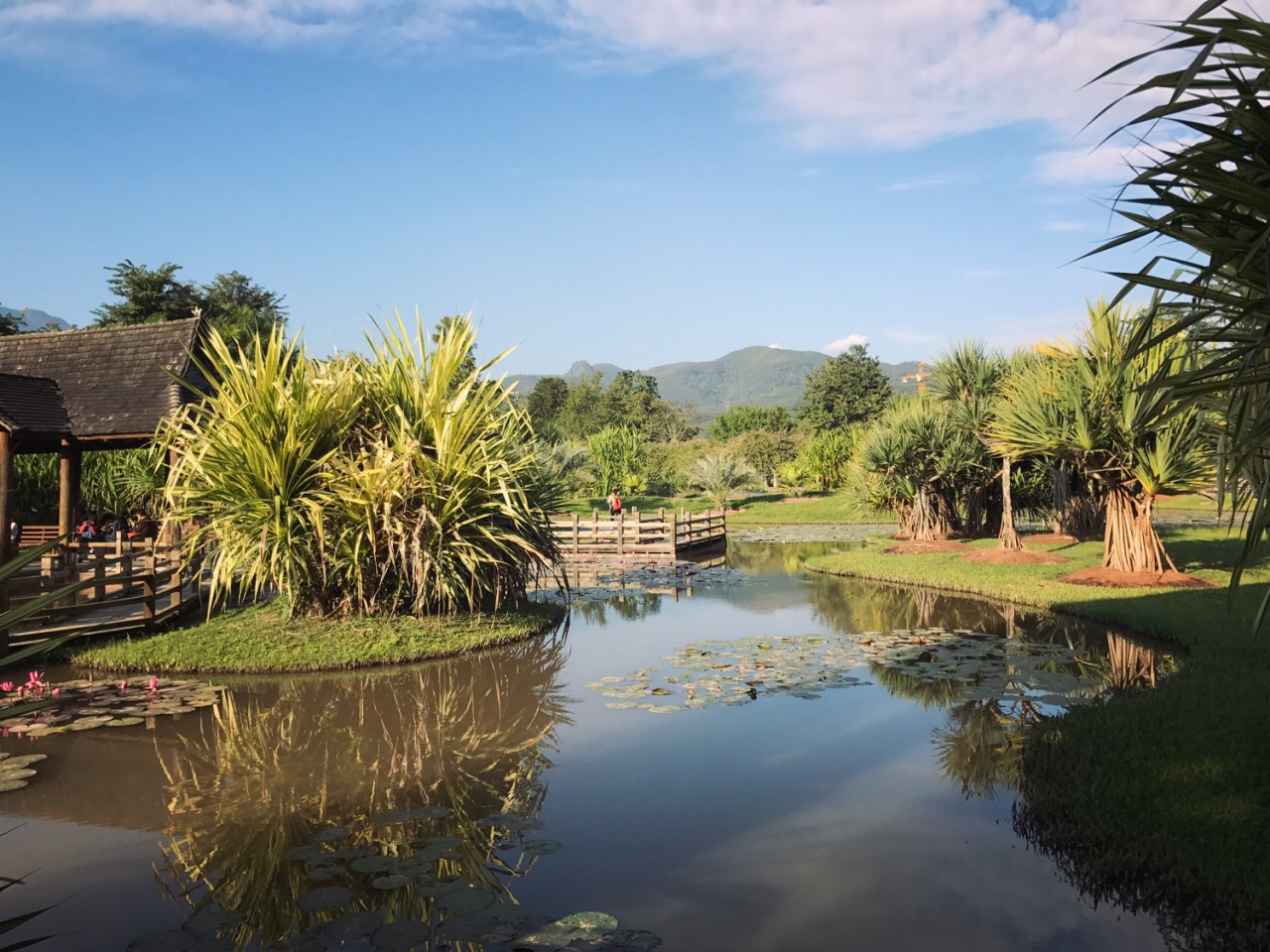 中科院西雙版納熱帶植物園