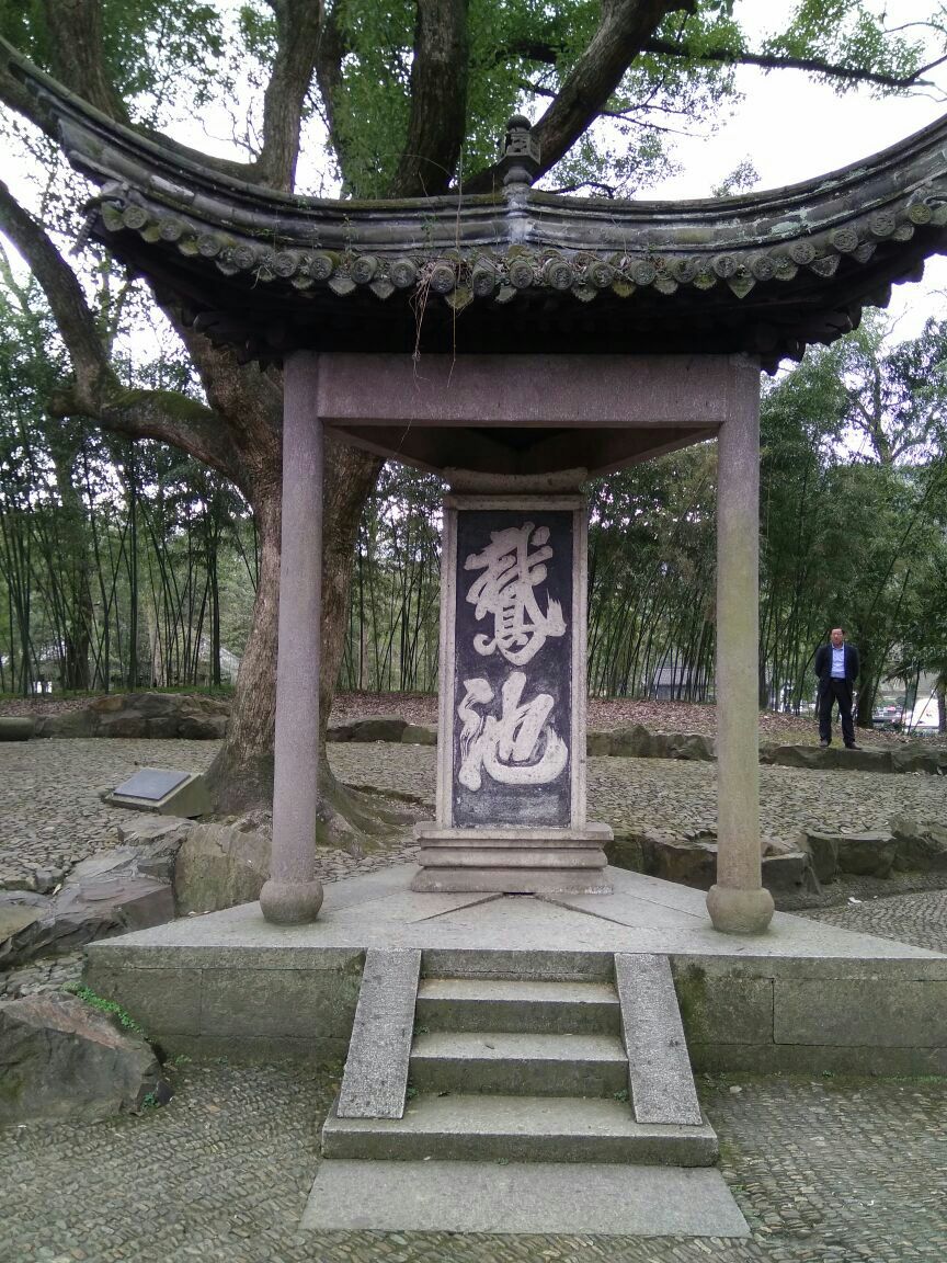 几只白鹅立在碧水边,有点揽镜自照的感觉,王羲之爱鹅,碑上&quot