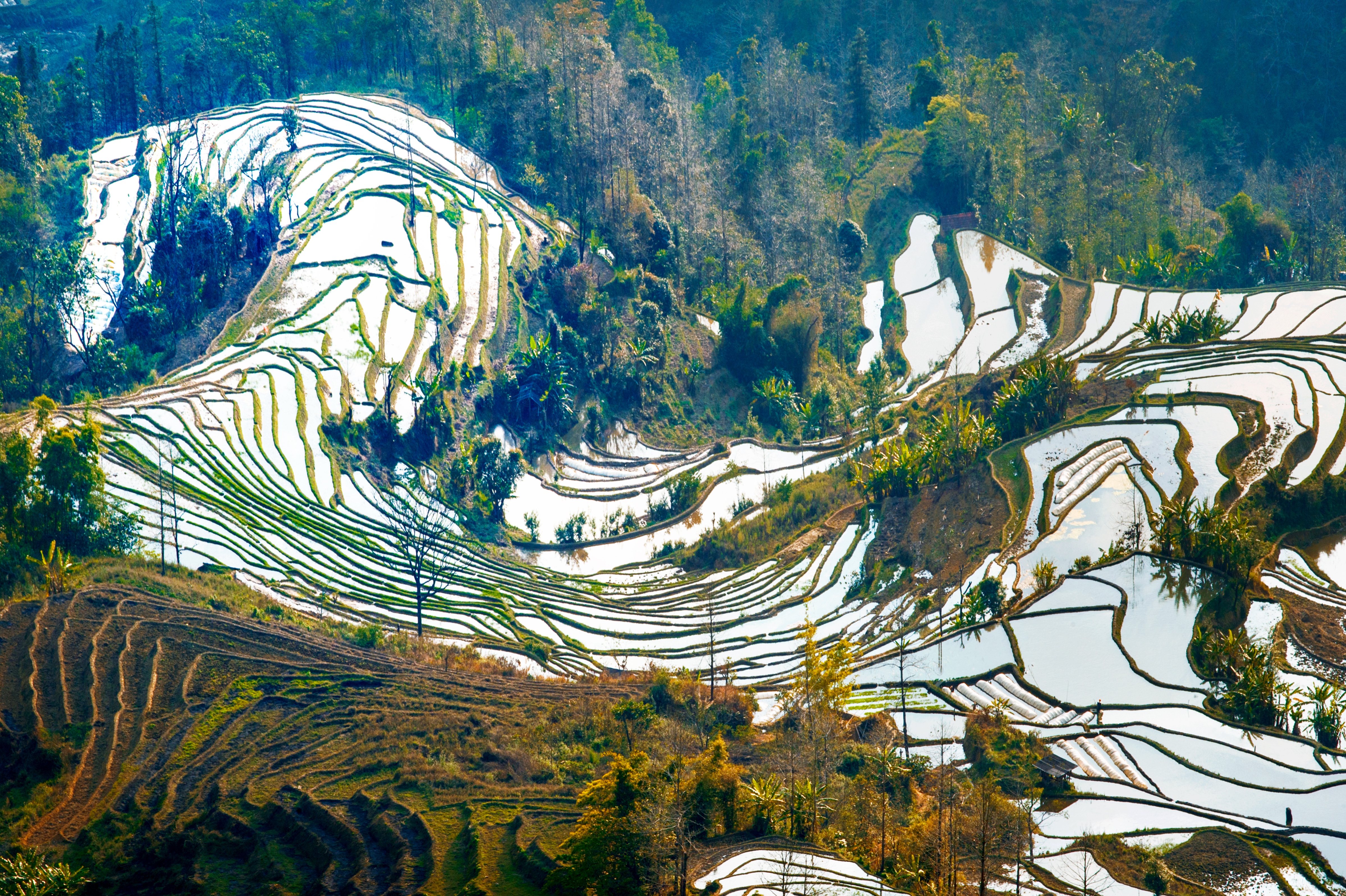 元阳老虎嘴梯田好玩吗,元阳老虎嘴梯田景点怎么样_点评_评价【携程攻