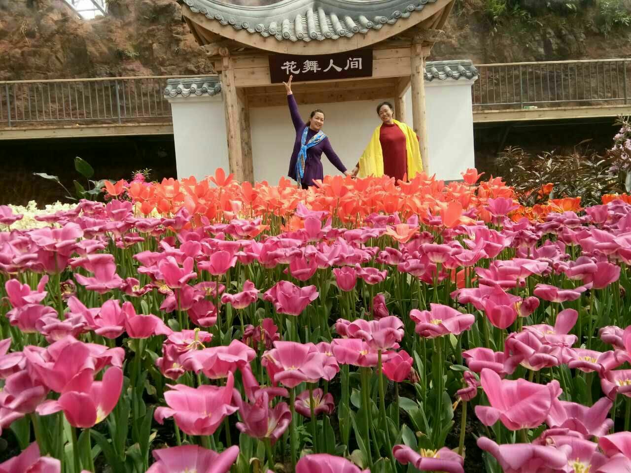 花舞人间旅游景点攻略图