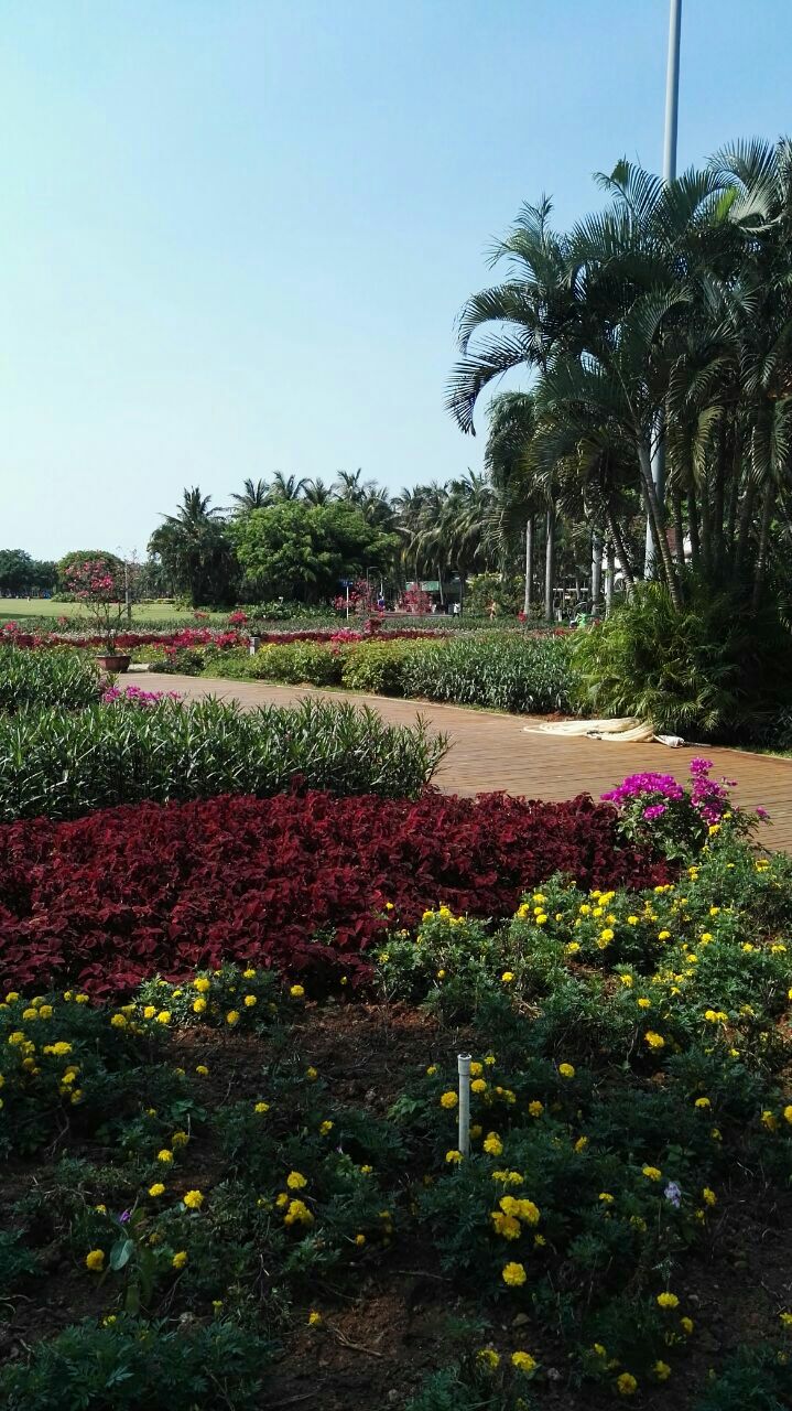 海口萬綠園好玩嗎,海口萬綠園景點怎麼樣_點評_評價【攜程攻略】