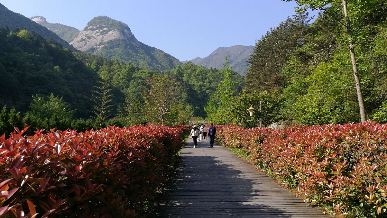 2019天堂寨_旅遊攻略_門票_地址_遊記點評,金寨旅遊景點推薦 - 去哪兒