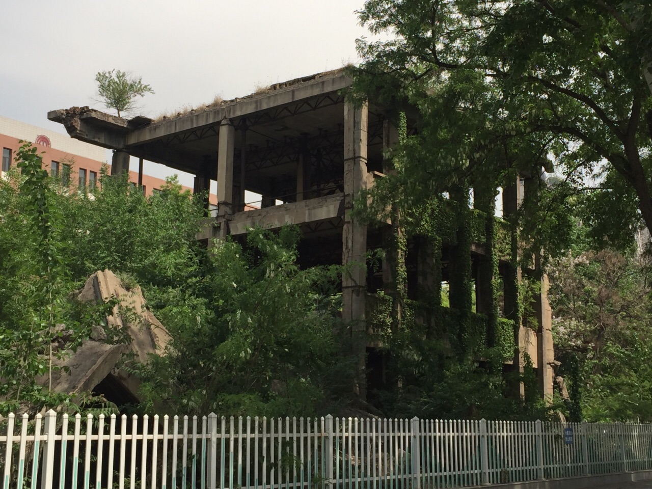 河北理工大学地震遗址