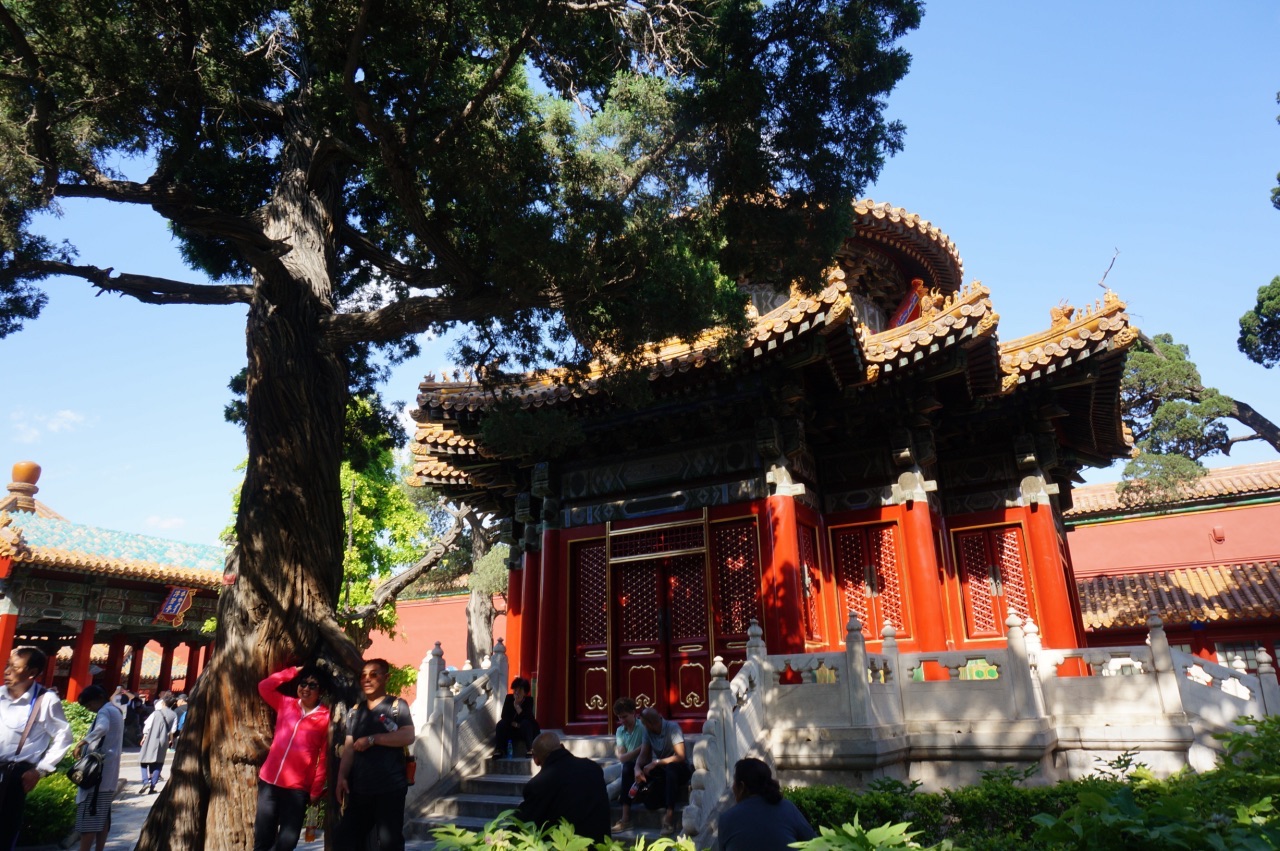 【高清图】2016年北京故宫（一个人的故宫：御花园）-3-中关村在线摄影论坛