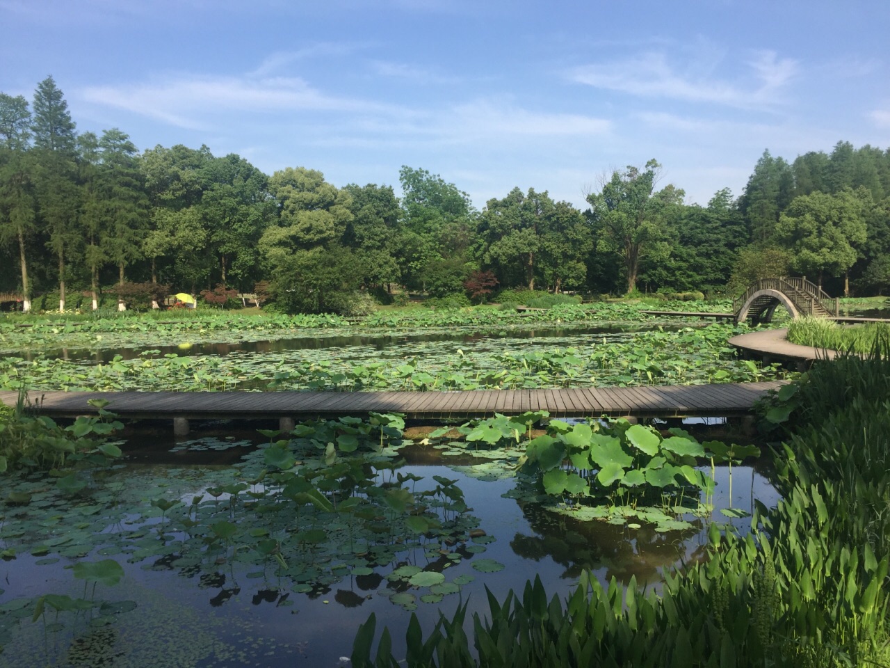 武漢植物園