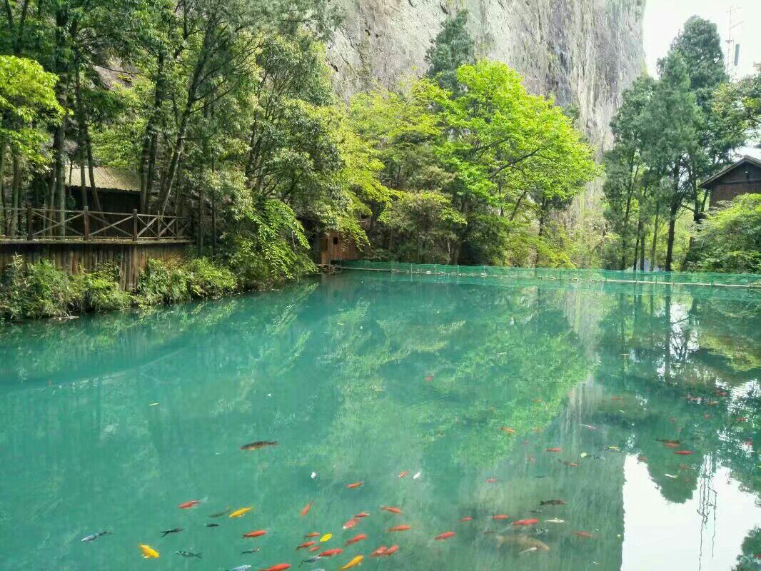 【携程攻略】雁荡山雁荡山净名谷景区景点,个人比较喜欢亲近大自然 所