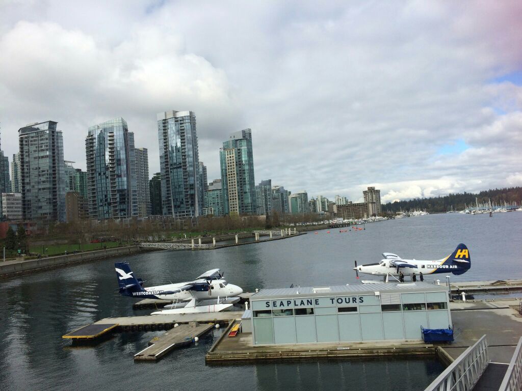 托菲诺水上飞机机场