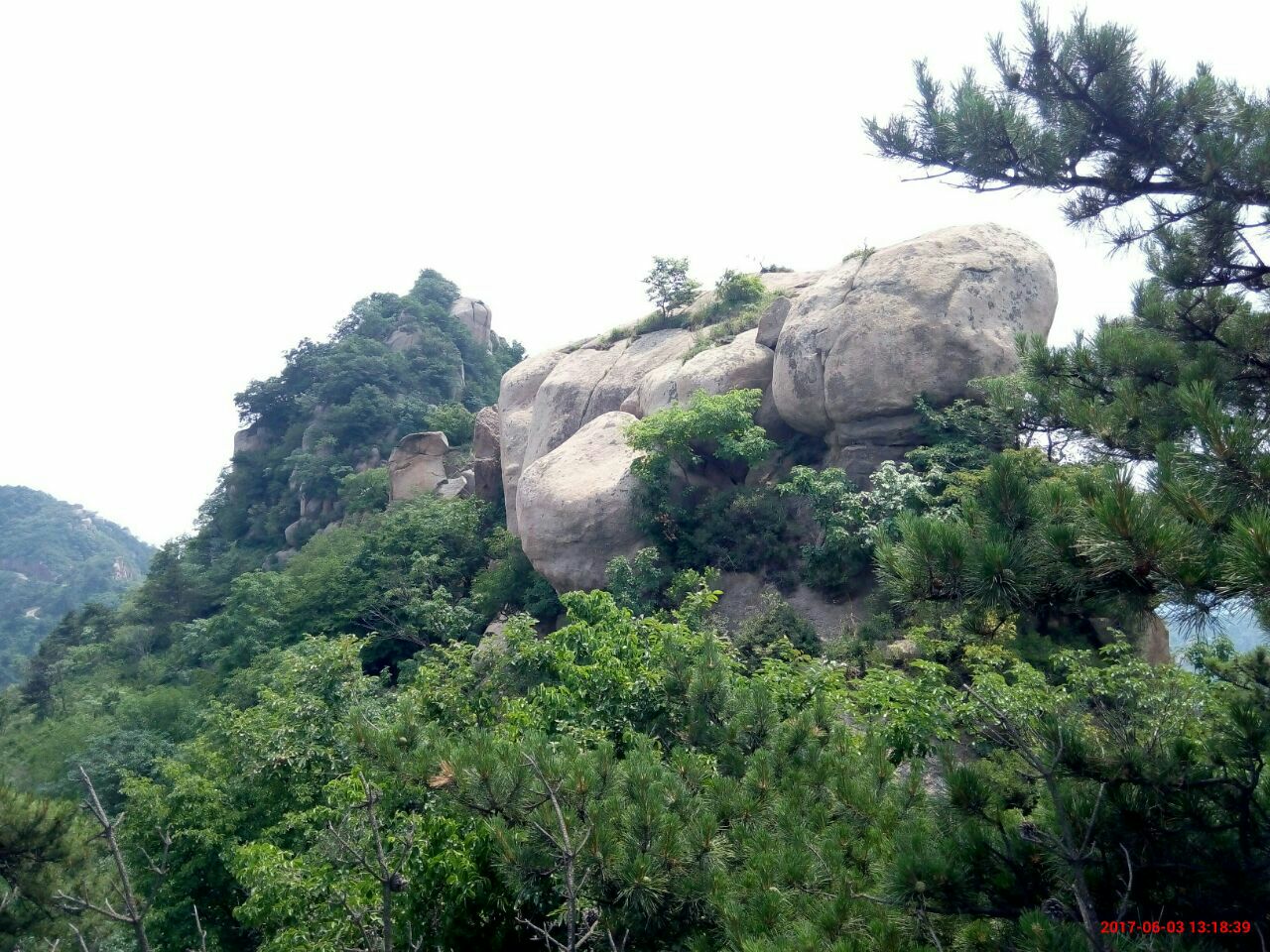 【攜程攻略】淄博魯山國家森林公園景點,山東第四高峰,植物天堂,徒步