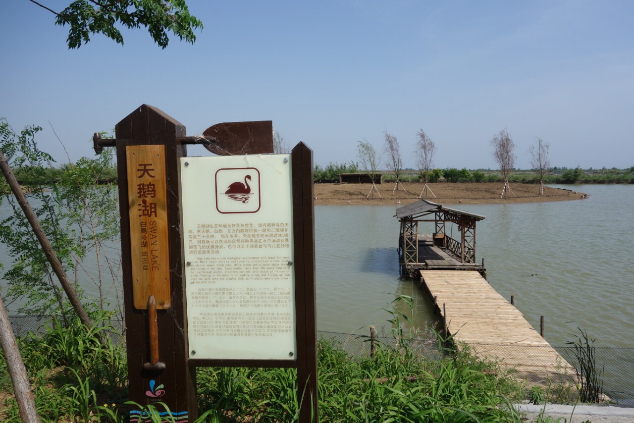 洪泽湖湿地公园地址图片
