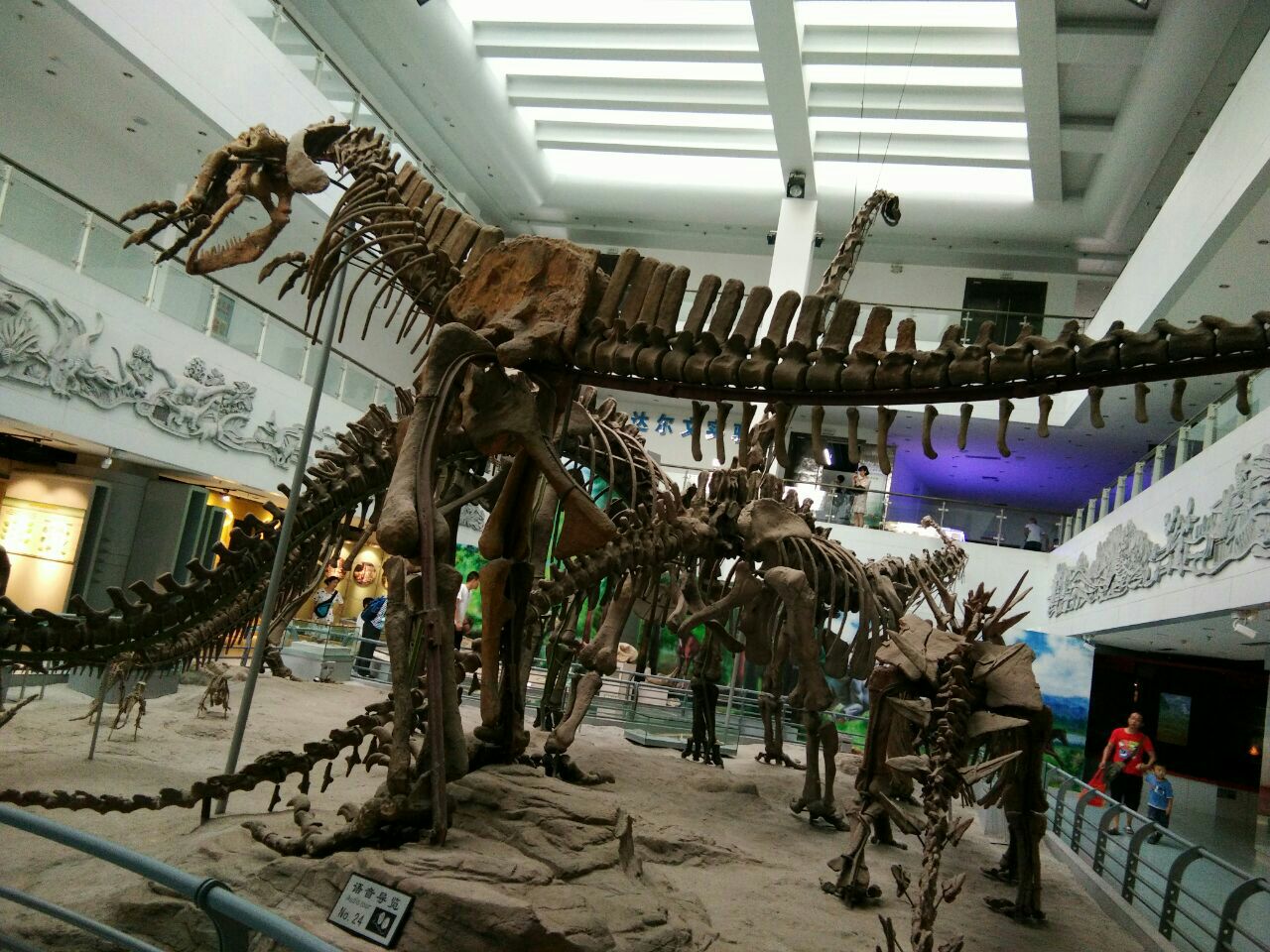 中国地质大学博物馆