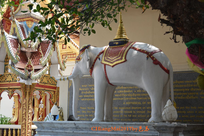 清迈,任时光匆匆流去我只在乎你(一)