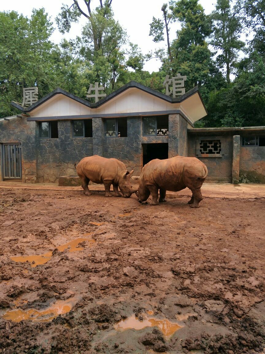 昆明動物園