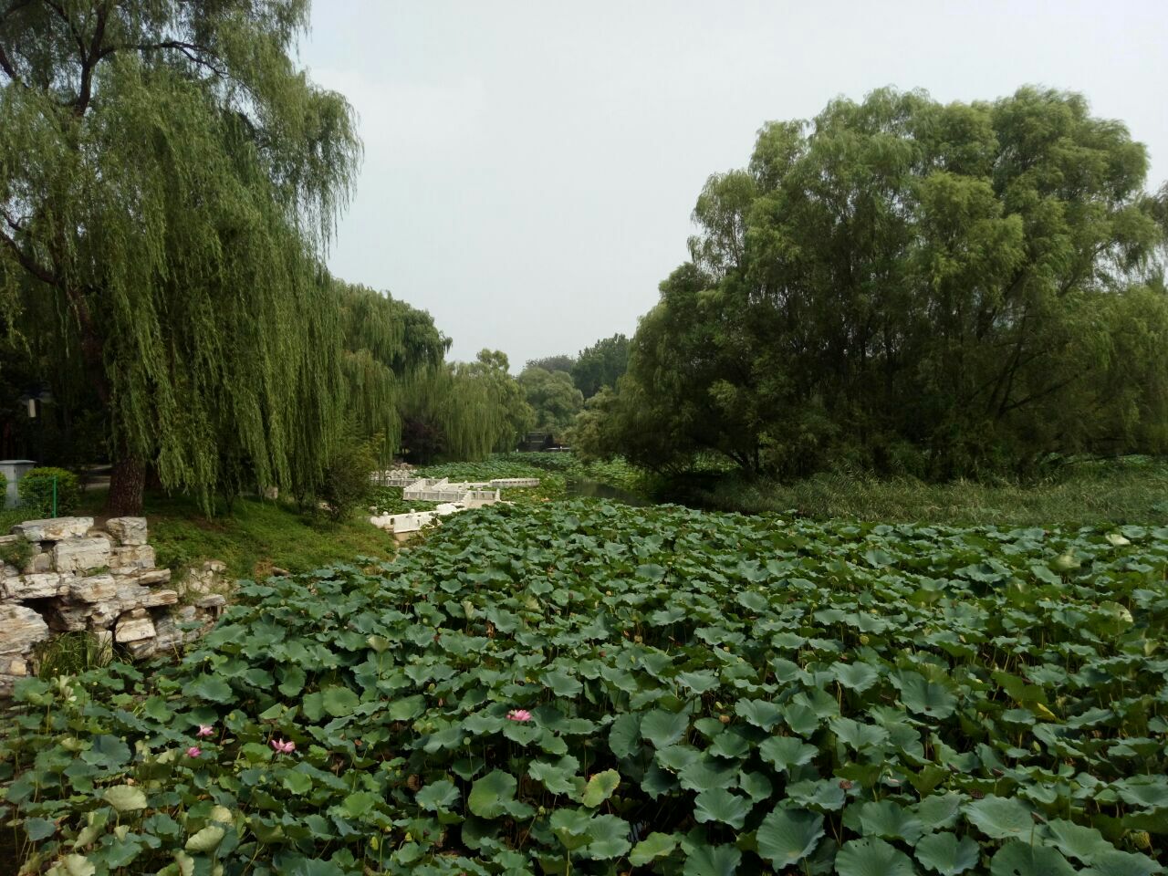 2019紫竹院公園_旅遊攻略_門票_地址_遊記點評,北京旅遊景點推薦 - 去