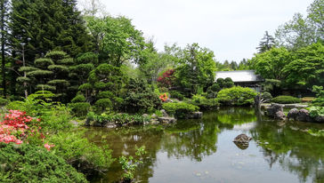 【十胜川出发星野度假村新千岁机场】带广十胜
