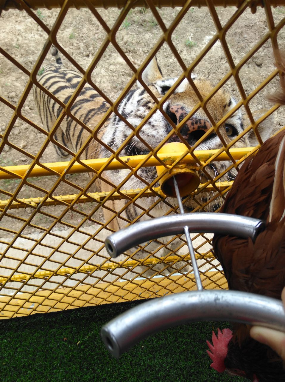 宿州野生動物園