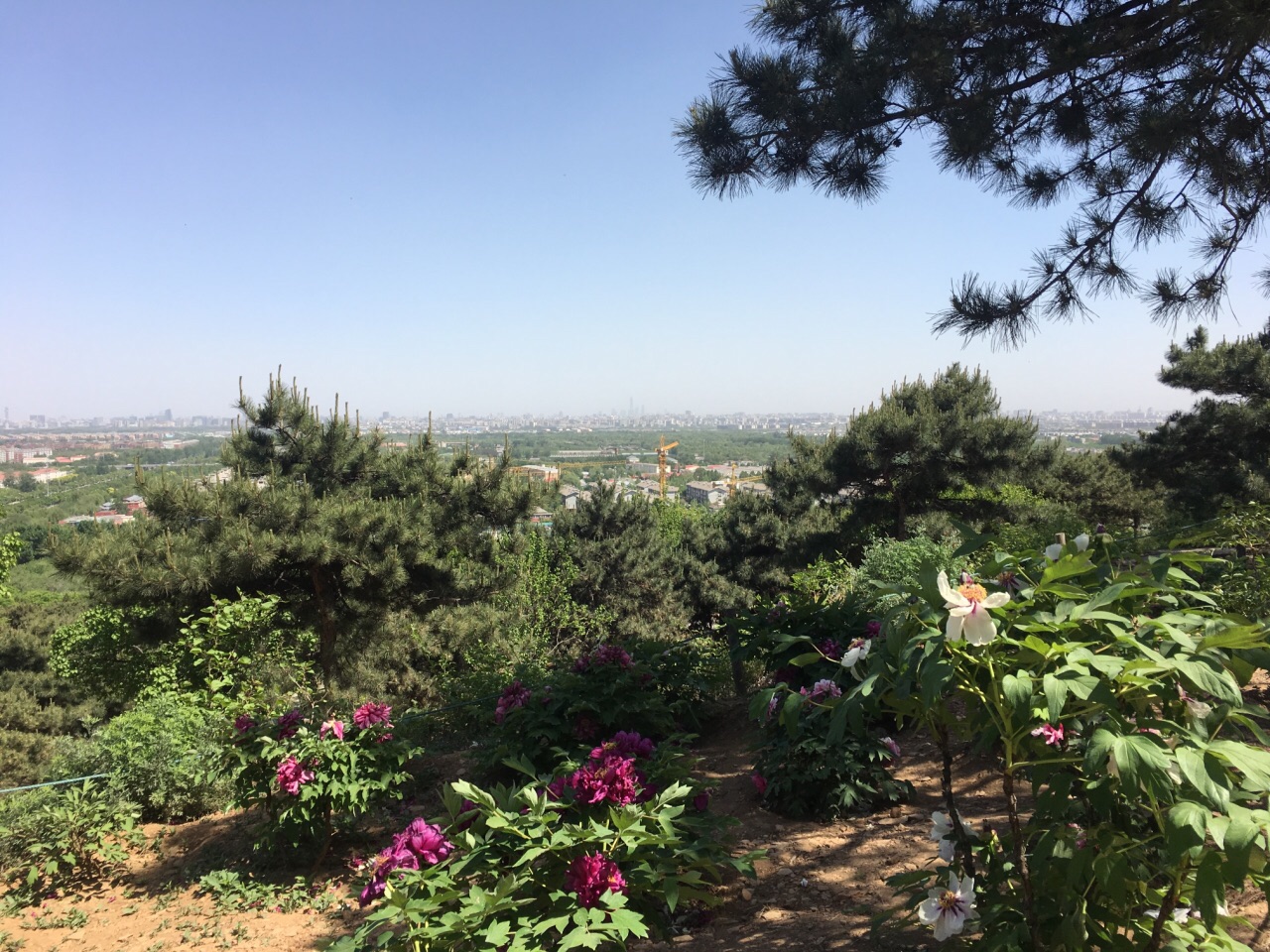 北京西山國家森林公園旅遊景點攻略圖