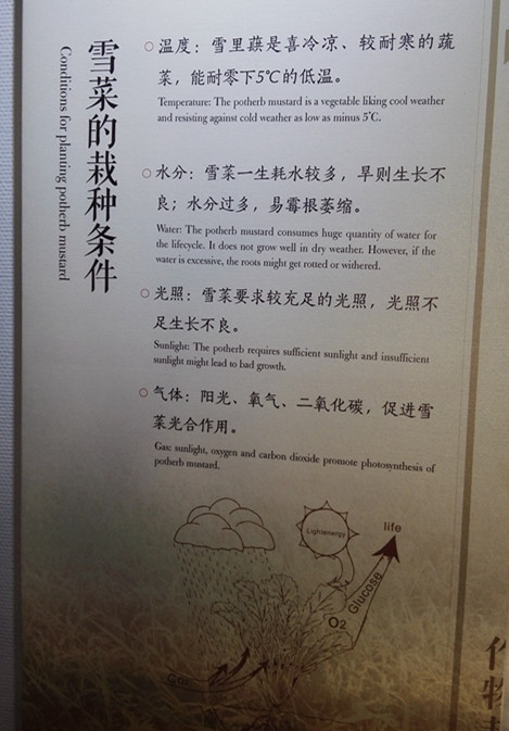 10020l000000d60bg6730_R_1024_10000_Q90.jpg?proc=autoorient