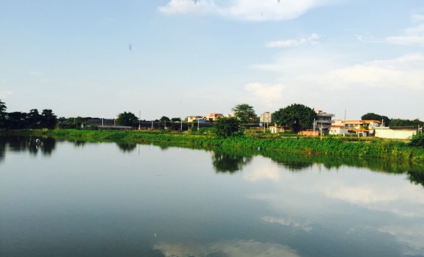 化龍鎮明經村共青團環保公園