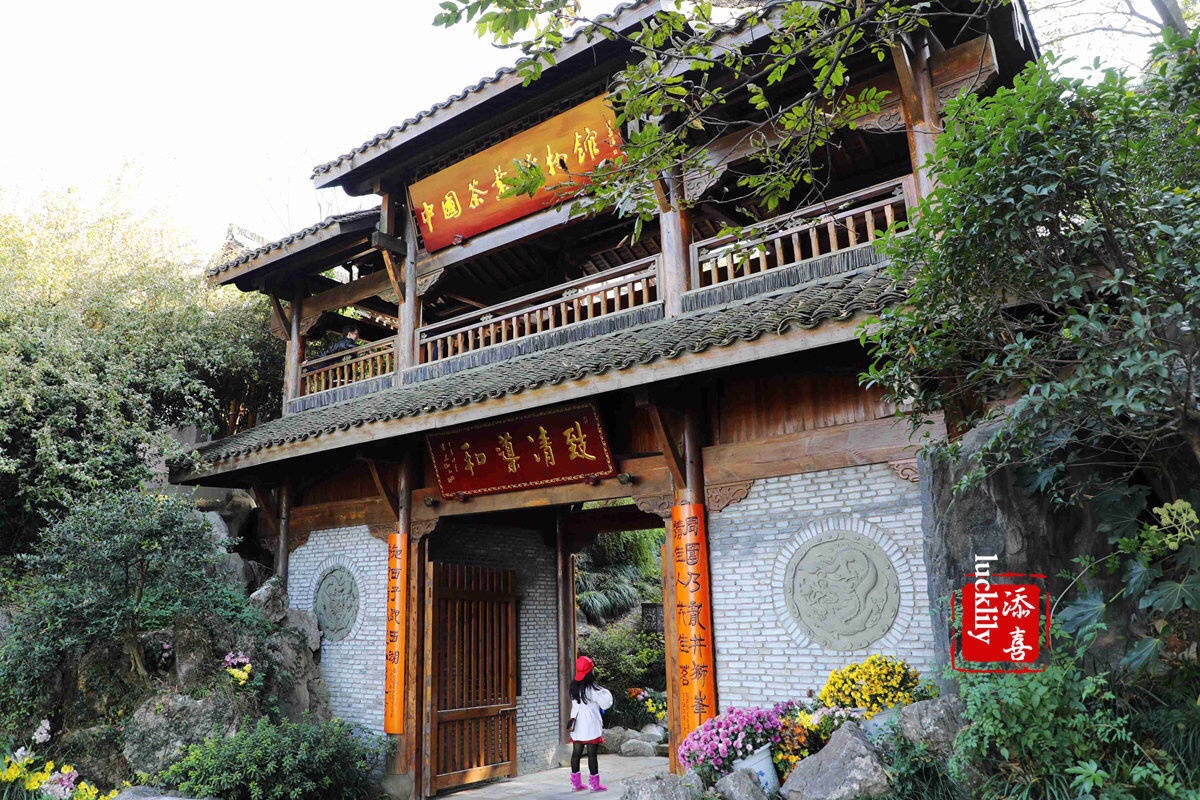 2021中国茶叶博物馆-旅游攻略-门票-地址-问答-游记点评，杭州旅游旅游景点推荐-去哪儿攻略