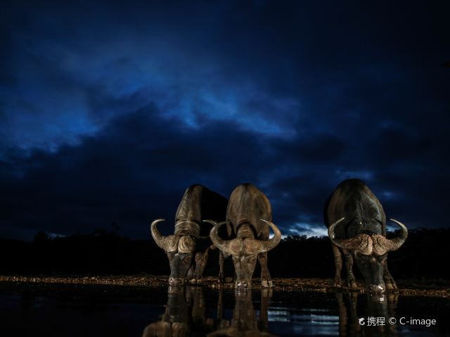 克留格尔国家公园