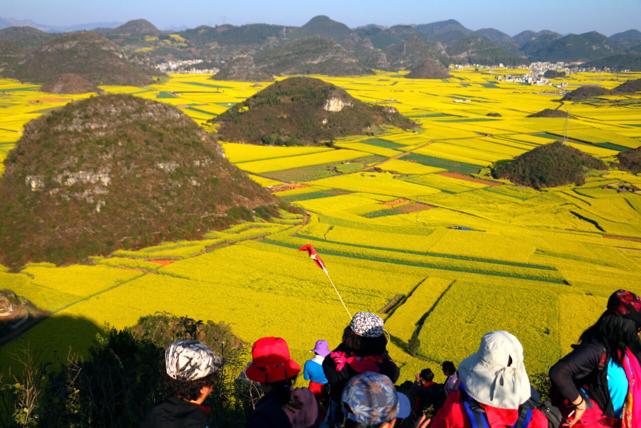 羅平金雞峰叢好玩嗎,羅平金雞峰叢景點怎麼樣_點評_評價【攜程攻略】