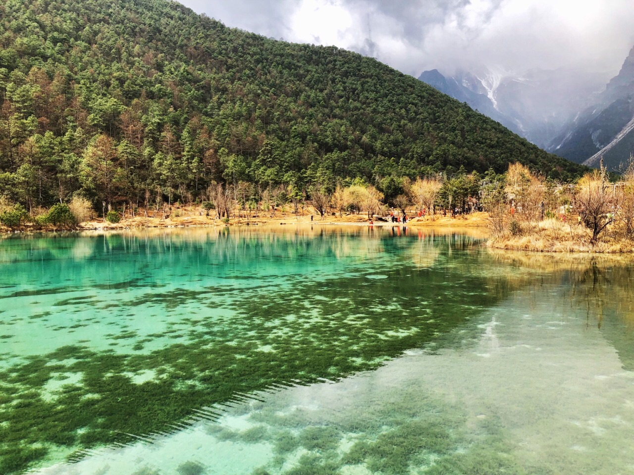 【攜程攻略】麗江麗江玉龍雪山 冰川公園大索道 藍月谷一日遊【經典