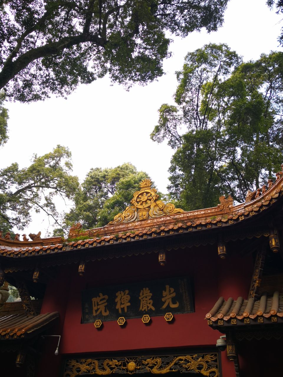 褒禅寺图片