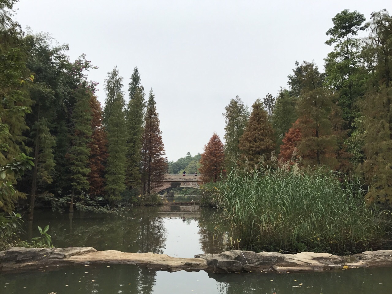 【攜程攻略】廣州云溪生態公園景點,免費的一個公園,好幾年去過,對比