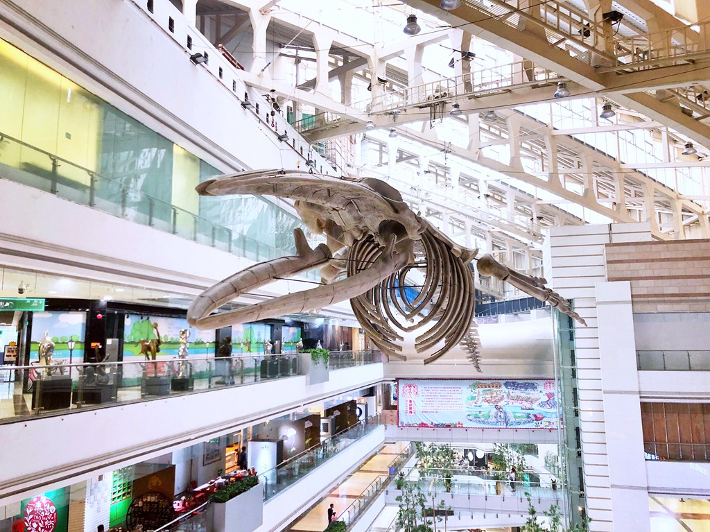 正佳自然科学博物馆